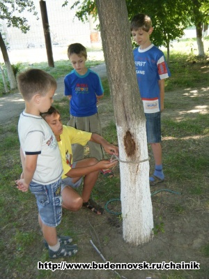   2.