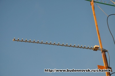 2011-10-01-2 2